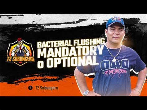 BACTERIAL FLUSHING MANDATORY O OPTIONAL .